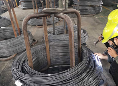 การตรวจสอบแว่นขยายในสถานที่